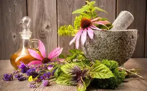 Aromáticas y Medicinales
