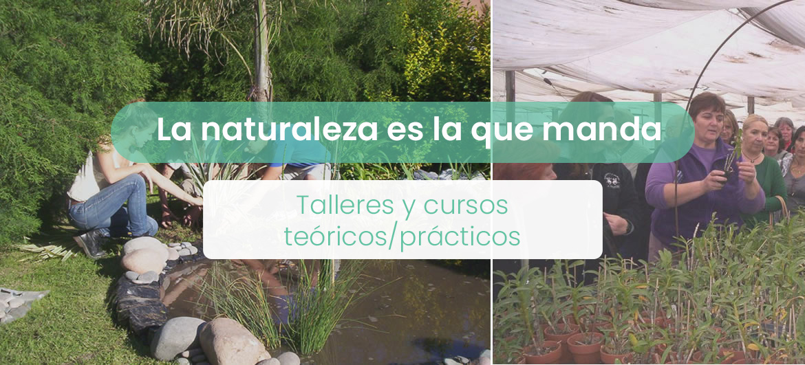 Arreglo florales y ramos en CABA, buenos aires
