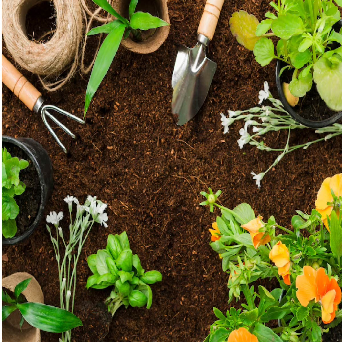 Jardinería orgánica