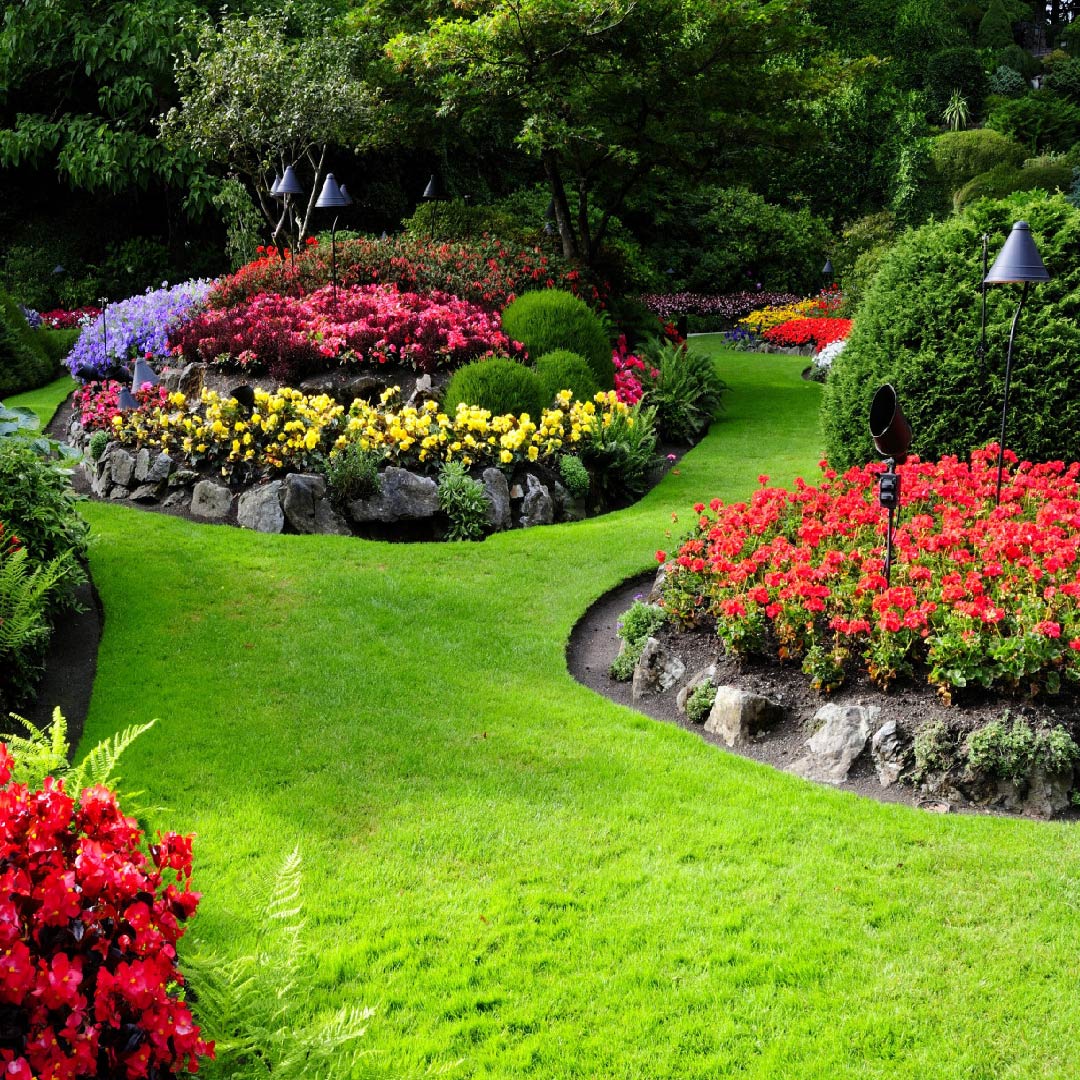 Plantas Ornamentales para el Diseño