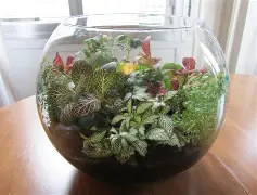 Terrarios
